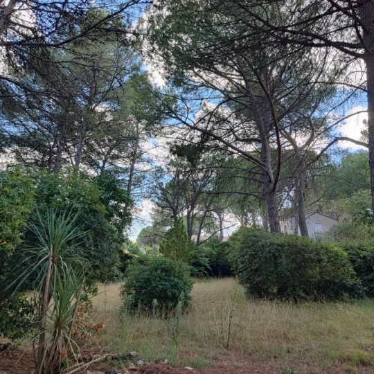  IMMOBILIER ET FINANCE : Maison / Villa | NIMES (30000) | 64 m2 | 1 075 € 