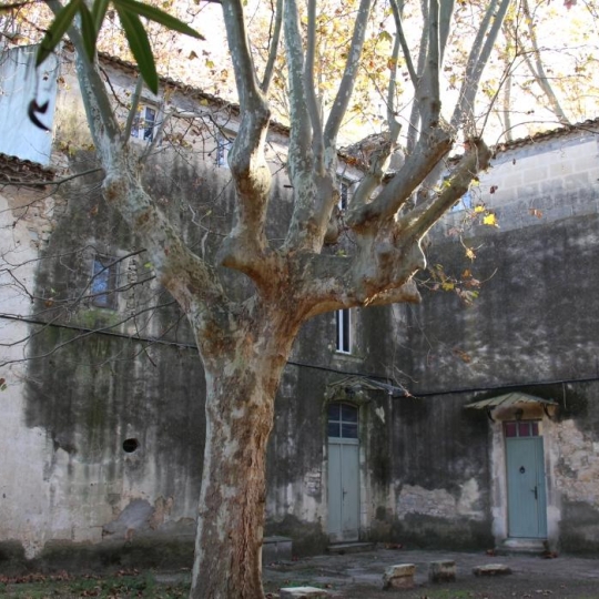  IMMOBILIER ET FINANCE : Domain / Estate | NIMES (30000) | 400 m2 | 780 000 € 