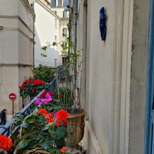  IMMOBILIER ET FINANCE : Appartement | NIMES (30000) | 191 m2 | 325 000 € 