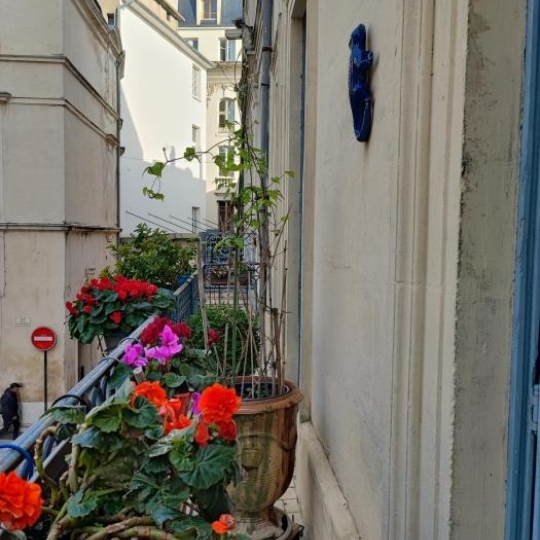  IMMOBILIER ET FINANCE : Appartement | NIMES (30000) | 191 m2 | 490 000 € 