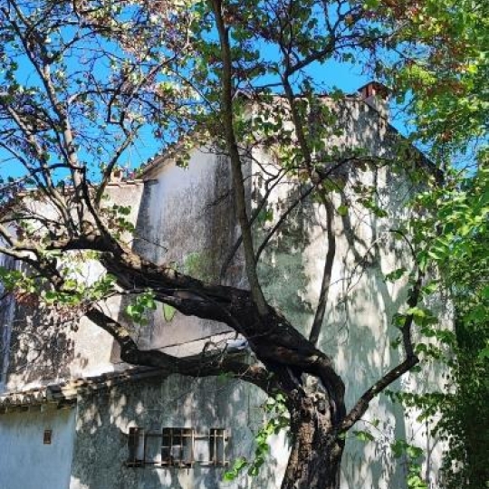  IMMOBILIER ET FINANCE : Terrain | NIMES (30000) | 0 m2 | 490 000 € 