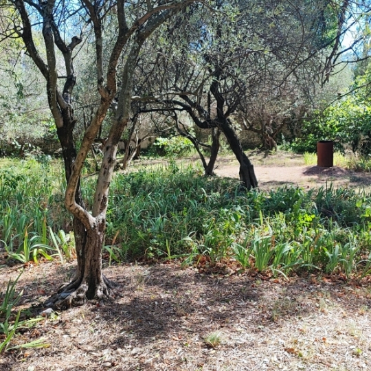 IMMOBILIER ET FINANCE : Terrain | NIMES (30000) | 0.00m2 | 295 000 € 