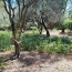  IMMOBILIER ET FINANCE : Terrain | NIMES (30000) | 0 m2 | 490 000 € 