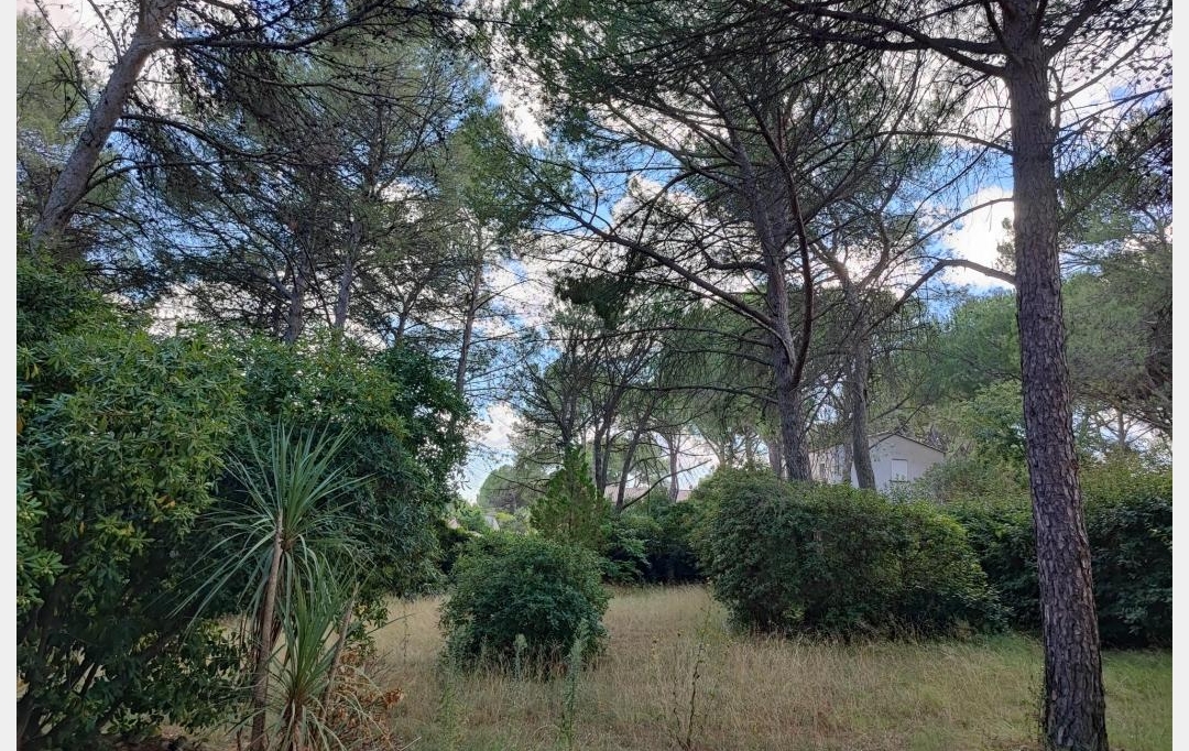 IMMOBILIER ET FINANCE : Maison / Villa | NIMES (30000) | 64 m2 | 1 075 € 