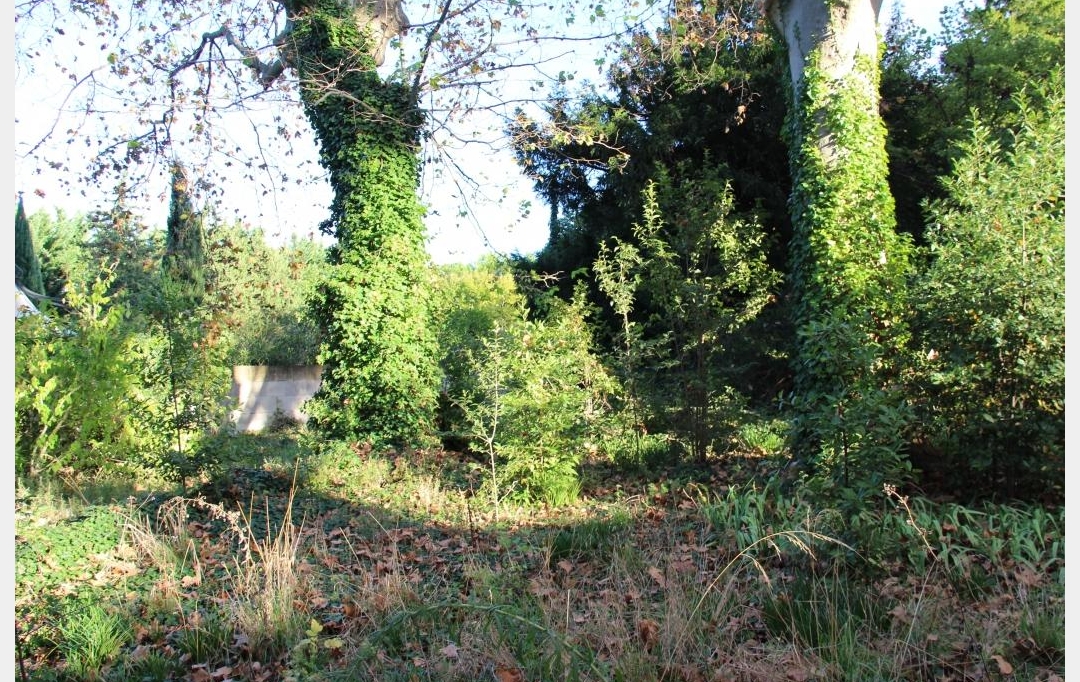 IMMOBILIER ET FINANCE : Domain / Estate | NIMES (30000) | 400 m2 | 780 000 € 