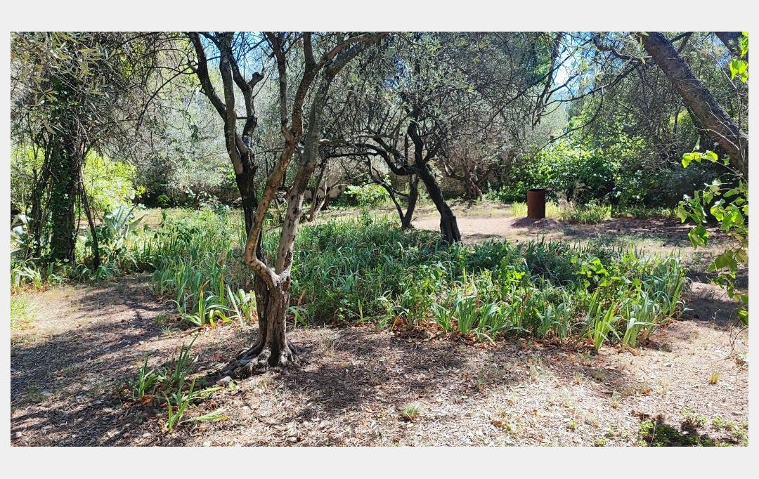 IMMOBILIER ET FINANCE : Terrain | NIMES (30000) | 0 m2 | 490 000 € 
