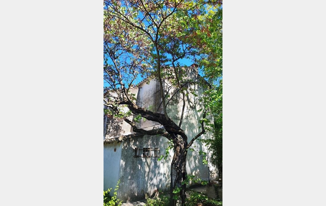 IMMOBILIER ET FINANCE : Terrain | NIMES (30000) | 0 m2 | 490 000 € 