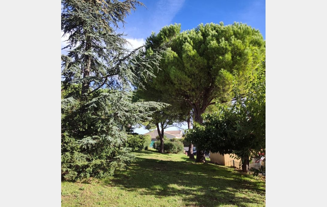 IMMOBILIER ET FINANCE : Appartement | MONTPELLIER (34000) | 67 m2 | 250 000 &euro; 