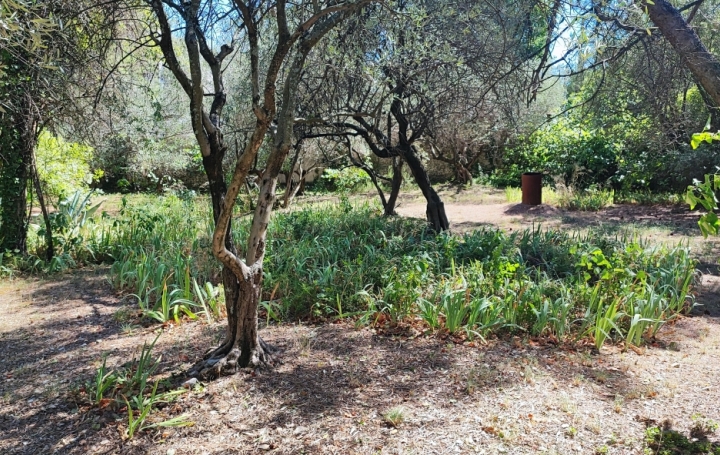 Terrain   NIMES   295 000 € 